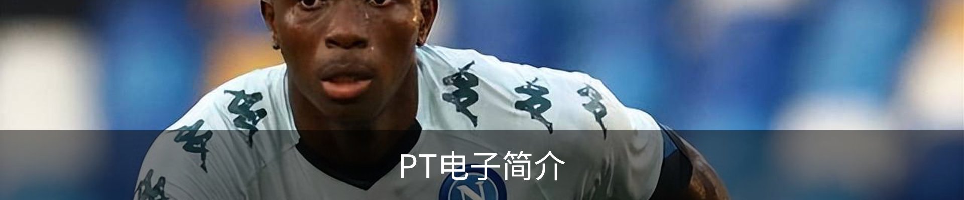 PT电子简介