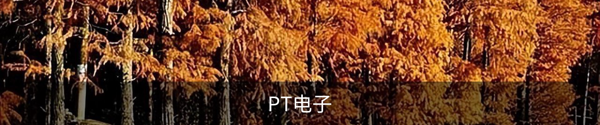 PT电子